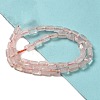 Natural Rose Quartz Beads Strands G-G085-A19-01-2