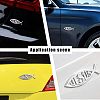 Zinc Alloy Car Stickers DIY-FH0001-23-7