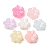 Plastic European Beads KY-Z003-10-1