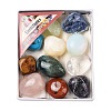 Nuggets Natural & Synthetic Mixed Gemstone Tumbled Polished Stones Collections AJEW-Q152-04-1