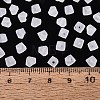 FGB Frosted Transparent Glass Seed Beads SEED-N013-03A-01-4