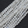 Natural Rainbow Moonstone Beads Strands LS-G-E411-08-4mm-1