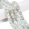 Dyed Natural White Jade Beads Strands G-T138-S20-1