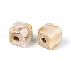 Two Tone Opaque Acrylic European Beads OACR-N157-06-1