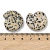 Natural Dalmatian Jasper Conch Display Decorations DJEW-D303-01N-3