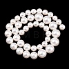 Electroplated Shell Pearl Graduated Beads Strands BSHE-C011-04-3