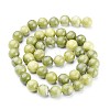 Natural Gemstone Beads GSR032-5