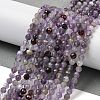 Natural Amethyst Beads Strands G-G189-D23-06-2