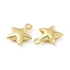 Rack Plating Alloy Charms FIND-G044-03LG-2