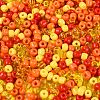 Opaque & Transparent Glass Seed Beads SEED-Q041-06B-3