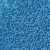 MIYUKI Round Rocailles Beads X-SEED-G008-RR0573-4