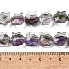 Inner Flower Handmade Lampwork Beads Strands LA-CBA3F7A-01A-4