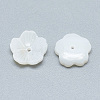 Freshwater Shell Beads SHEL-S275-018-2