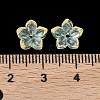 Dyed & Heated Glass Bead Caps GLAA-Z019-02K-3