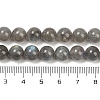 Natural Labradorite Beads Strands G-G448-8mm-04A-2