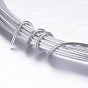 Round Aluminum Wire AW-D009-1mm-5m-21-2