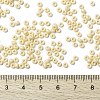MIYUKI Round Rocailles Beads X-SEED-G008-RR0492-4