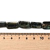 Natural Abalone Shell/Paua Shell Beads Strands BSHE-D300-01B-4