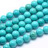 Natural Magnesite Round Beads Strands TURQ-G148-03-10mm-1