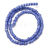 Handmade Lampwork Beads Strands BLOW-K001-01B-14-4