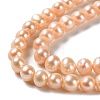Natural Cultured Freshwater Pearl Beads Strands PEAR-E018-27-3