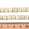 Anti-Tarnish Electroplate Glass Beads Strands GLAA-T025-8mm-10F-4
