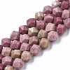 Natural Rhodonite Beads Strands G-R465-30B-1