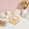 Transparent Glass Jewelry Organizer Display Cases with Metal Frame ODIS-WH0025-357A-2