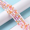 Glass Seed Bead Strands LAMP-B021-04C-2