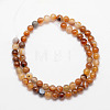 Natural Striped Agate/Banded Agate Bead Strands G-K166-13-6mm-02-3