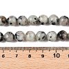 Natural Sesame Jasper/Kiwi Jasper Bead Strands G-R345-8mm-36-5