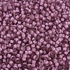 MIYUKI Round Rocailles Beads X-SEED-G007-RR1931-3