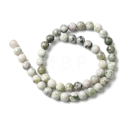 Natural Peace Jade Beads Strands X-G-E598-04B-1