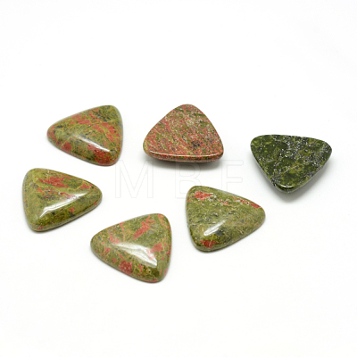 Natural Unakite Gemstone Cabochons G-T025-10x10mm-08-1