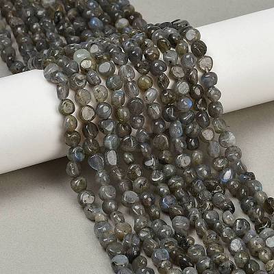 Natural Labradorite Beads Strands G-Q060-B02-1