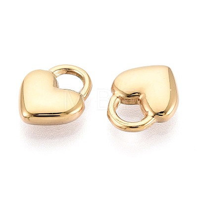 304 Stainless Steel Charms STAS-N109-194G-1