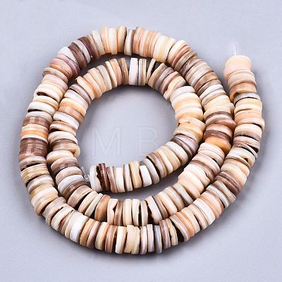 Natural Freshwater Shell Beads Strands SHEL-N026-94B-01-1