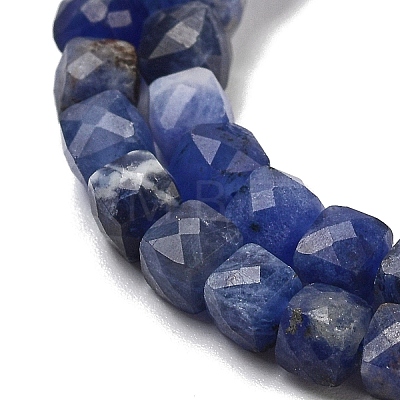 Natural Sodalite Beads Strands G-H042-A08-02-1