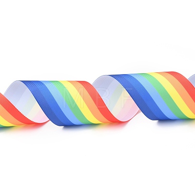 Rainbow Polyester Ribbon OCOR-G008-02-1