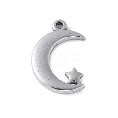 304 Stainless Steel Pendants STAS-E548-03P-1