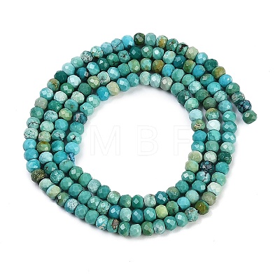 Natural Turquoise Dyed Beads Strands G-H070-A02-01-1