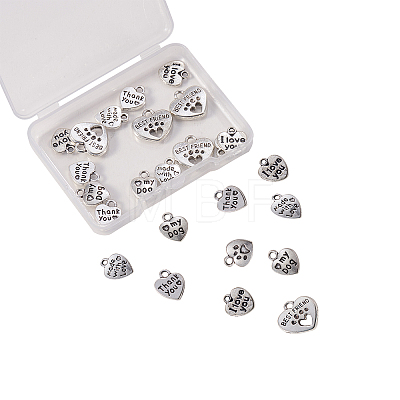 Tibetan Style Alloy Charms TIBE-CJ0001-08-1