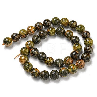 Natural Bumblebee Jasper Beads Strands G-P544-A03-02-1