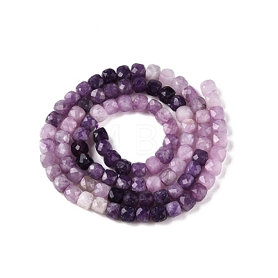 Gradient Color Natural Lepidolite Beads Strands G-N342-138B-1