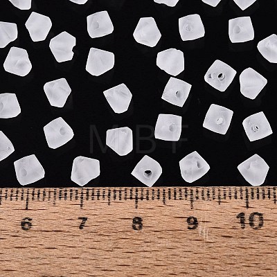 FGB Frosted Transparent Glass Seed Beads SEED-N013-03A-01-1