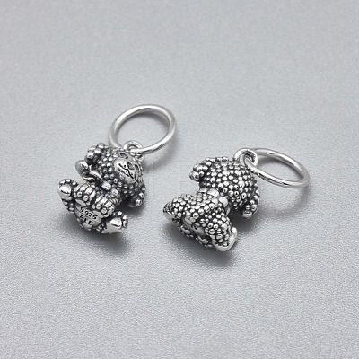 925 Sterling Silver Charms STER-I019-27AS-1