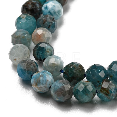 Natural Apatite Beads Strands G-K185-02-4MM-01-1