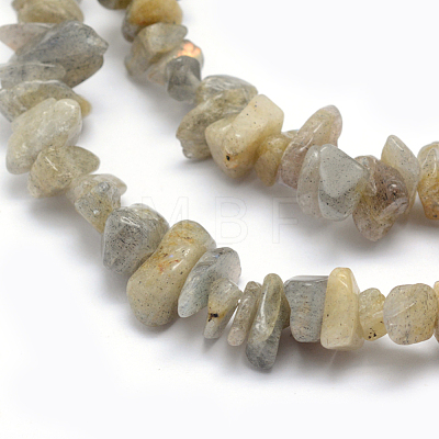 Natural Labradorite Beads Strands X-G-P332-23-1