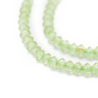 Natural Peridot Beads Strands G-I249-D05-01-1