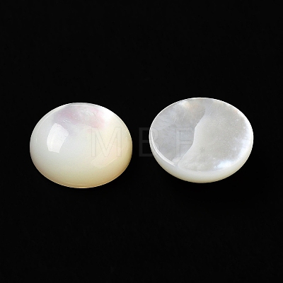 Natural White Shell Cabochons X-SSHEL-M022-01D-1